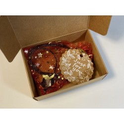 Ossidiana Nera Ciondolo Stella con collana in corda intrecciata nera Protezione e Consapevolezza